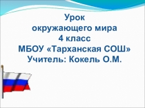 Презентация по окружающему миру на тему Государственные символы