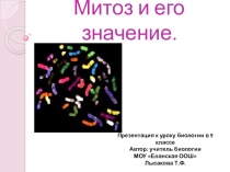 Презентация по биологии на тему Митоз и его значение (9 класс)