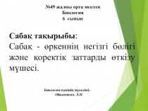Урок по биологии на тему Стебель основная часть растения