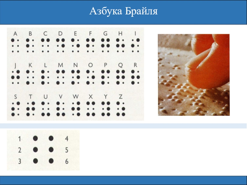 Азбука брайля презентация