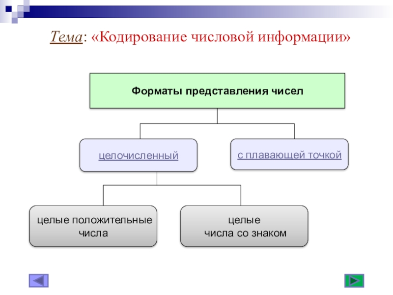 Проект на тему кодирование информации 10 класс