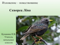 Презентация к уроку русского языка в 3 классе по программе Школа России по Теме Скворец Музыкант. Изложение