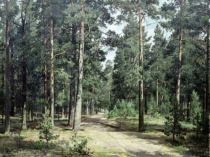 Презентация к уроку Голосеменные