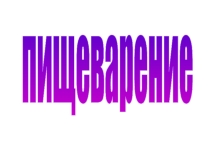 Презентация по биологии Пищеварение
