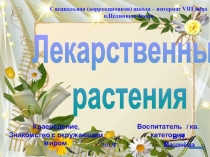 Презентация Лекарственные растения. Знакомство с окружающим миром.