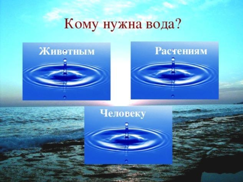 Нужны водные. Кому нужна вода. Зачем нужна вода человеку. Вывод для чего нужна вода человеку. Надпись кому нужна вода.