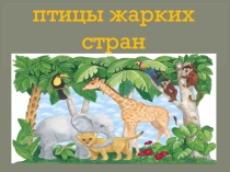 Презентация к конспекту НОД по познавательному развитию на тему: Животные жарких стран