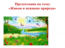 Живая и неживая природа