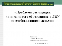 Проблема реализации инклюзивного образования в ДОУ со слабовидящими детьми