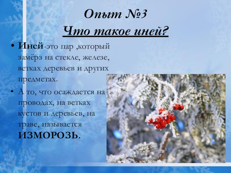 Иней текс. Иней для презентации. Иней это для детей. Презентация на тему иней. Картинки изморозь для дошкольников.