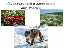 Красная книга России. Растения и животные