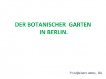 Презентация по немецкому языку Ботанический сад в Берлине