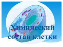 Презентация по теме-химический состав клетки