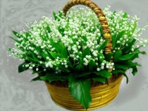 Презентация по аппликации в старшей группе на тему: Портрет