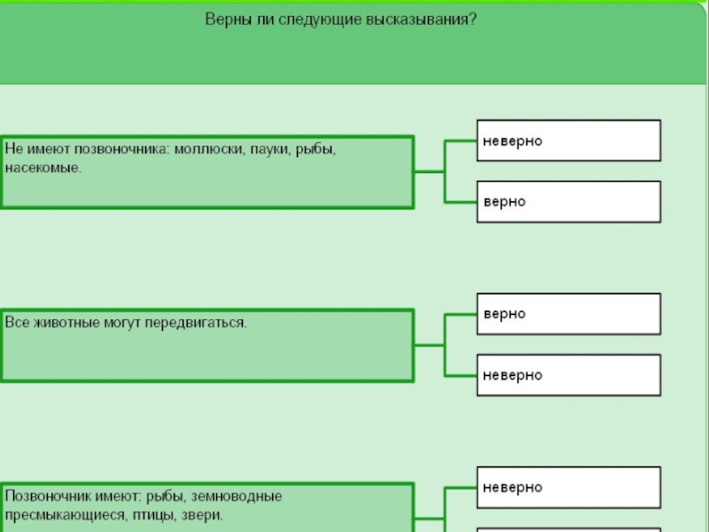 Окружающий мир 3 класс размножение. Вопросы по теме размножение и развитие животных. Тест по окружающему миру 3 класс размножение и развитие животных. Тест размножение и развитие животных 3. Тест размножение и развитие животных 3 класс.