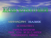 Презентация по биологии на тему Чёрное море