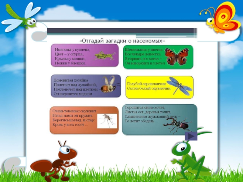 Презентация загадки о насекомых для детей 5 6 лет