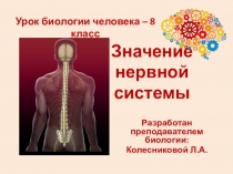 Урок 45. Значение нервной системы (презентация)