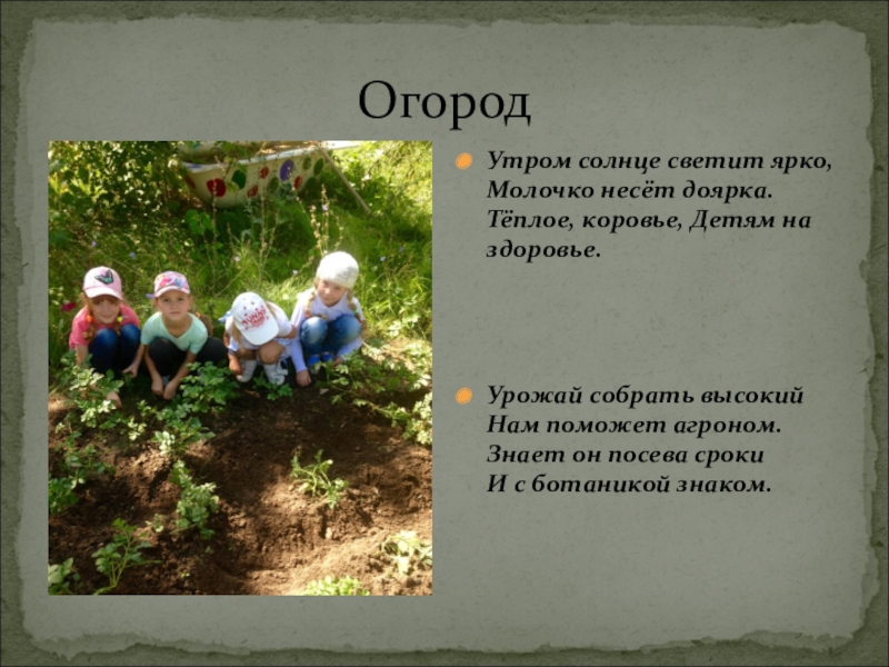 Конкурс: Лучшая идея детской площадки ОгородУтром солнце светит ярко, Молочко несёт доярка. Тёплое, коровье, Детям на ОгородУтром солнце светит ярко, Молочко несёт доярка. Тёплое, коровье, Детям на здоровье. Урожай собрать высокий Нам поможет