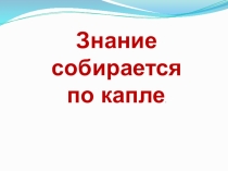 Презентация по русскому языку на тему Склонение имён прилагательных женского рода в единственном числе