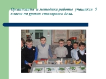 Организация и методика работы учащихся 5 класса на уроках столярного дела.