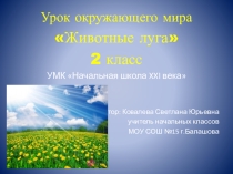 Презентация по окружающему миру 2 класс Животные луга