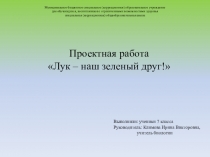 Проект Лук - наш зеленый друг!