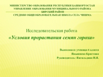 Презентация Условия прорастания семян гороха