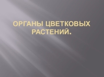 Органы цветковых растений. Корень.Побег