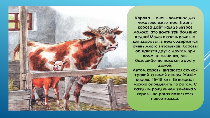 Домашние животные в городе и деревне 6 класс 8 вид презентация