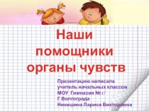 Презентация по теме Органы чувств