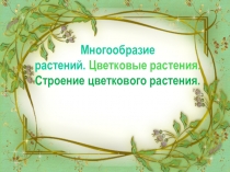 Презентацию по окружающему миру Многообразие растений