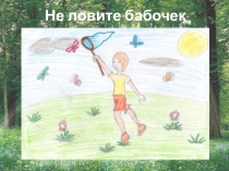 Проект по окружающему миру: Берегите лес!