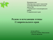 Презентация по биологии Редкие и исчезающие птицы Ставропольского края