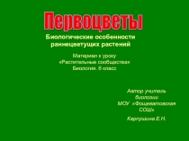 Презентация к уроку Первоцвет (6 класс)