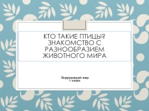 Презентация по окружающему миру Кто такие птицы (1 класс)