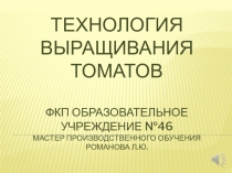 Технология выращивания томатов
