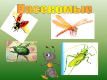 Презентация Насекомые.Бабочки и жуки (2 класс)