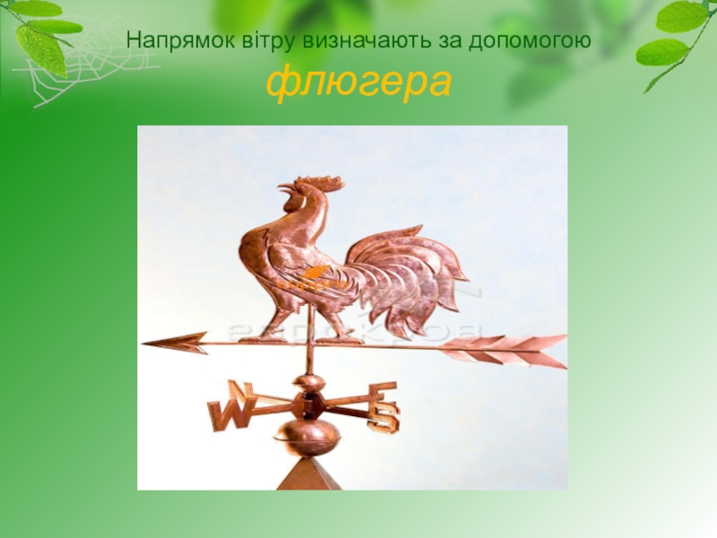 Презентация к уроку природоведение в 4 классе Погода рідного краю Напрямок вітру визначають за допомогою флюгера Напрямок вітру визначають за допомогою флюгера