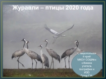 Презентация по экологии на тему Птицы 2020 года -журавли