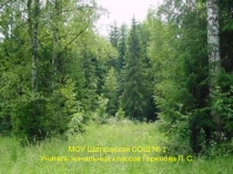 Лес – природное сообщество