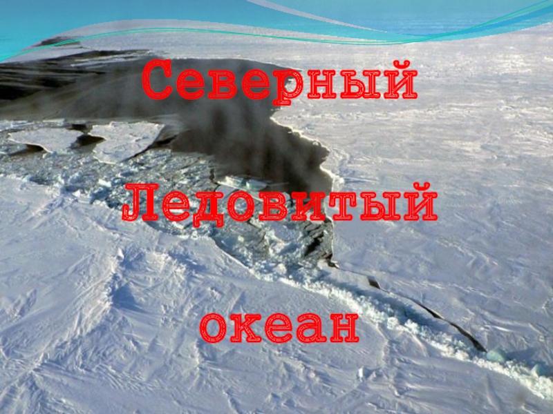 Презентация Презентация к уроку: § 39. Северный Ледовитый океан (ред. Душина), география, 7 класс