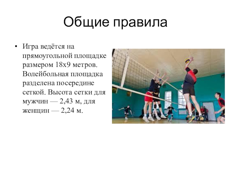 Выберите правильный вариант высоты волейбольной сетки женская. Высота волейбольной сетки для мужчин. Высота сетки волейбольной площадки. Высота волейбольной сетки в школе. Высота сетки в волейболе.