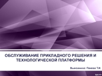 Обслуживание прикладного решения