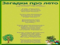 Много радости и света дарит нам с тобою лето!
