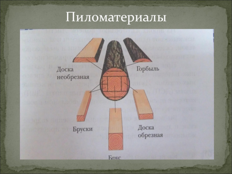 Тест по технологии древесина