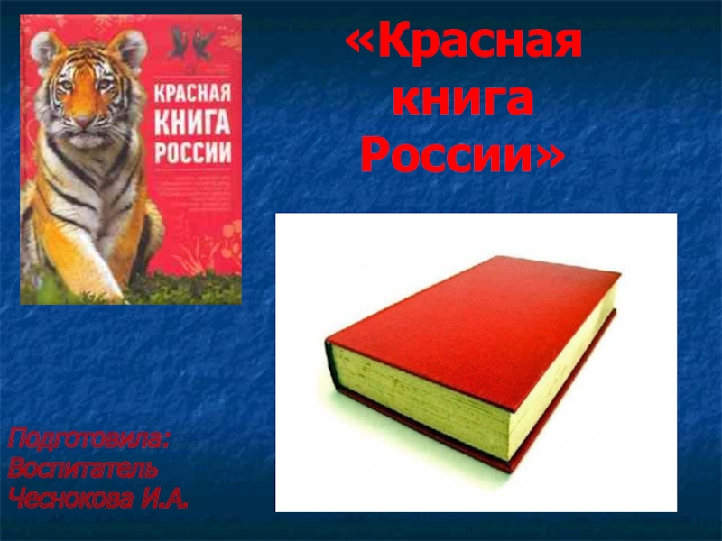 Презентация на тему красная книга для дошкольников