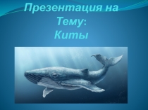 Презентация по предмету Естествознание, раздел Биология