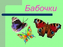Презентация по технологии Бабочки