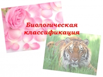 Презентация по биологии на темк Биологическая классификация